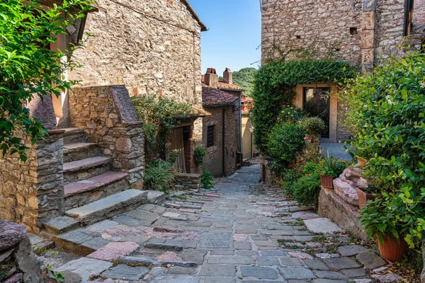 晴れた夏の日のサセッタの美しい村 リボルノ県 トスカーナ イタリア — ストック写真