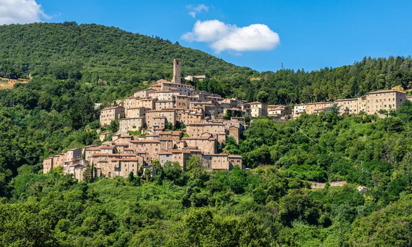 Das Schöne Dorf Castelnuovo Val Cecina Einem Sonnigen Sommermorgen Provinz — Stockfoto