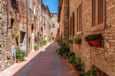 Güneşli bir yaz sabahında Casole d 'Elsa' nın pitoresk köyü. Siena ili, Toskana, İtalya