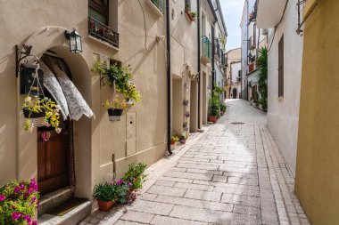 Termoli 'de manzara, Campobasso, Molise, İtalya' nın güzel kıyı kasabası..