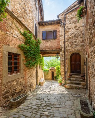 The picturesque village of Montefioralle, near Greve in Chianti, on a sunny summer day. Province of Florence, Tuscany, Italy. clipart