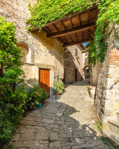 Picturesque Village Montefioralle Greve Chianti Sunny Summer Day Province Florence — Stock Photo, Image