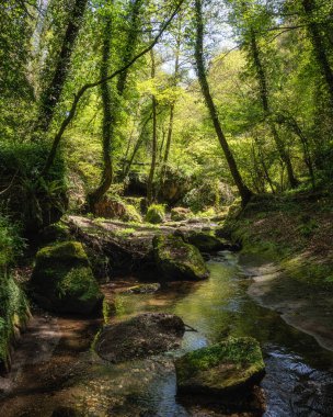 Barbarano Romano ve Blera köylerinin yakınlarındaki 