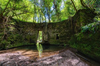 Barbarano Romano ve Blera köylerinin yakınlarındaki 