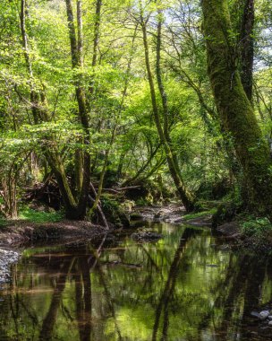 Barbarano Romano ve Blera köylerinin yakınlarındaki 