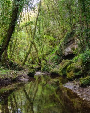 Barbarano Romano ve Blera köylerinin yakınlarındaki 