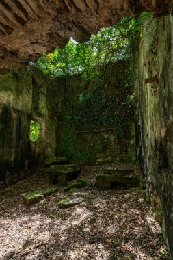 Viterbo, Lazio, İtalya 'daki Chia Şelale Parkı' nda antik uygarlıkların izlerini taşıyan güzel doğal manzara..