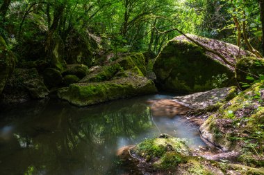 Viterbo, Lazio, İtalya 'daki Chia Şelale Parkı' nda antik uygarlıkların izlerini taşıyan güzel doğal manzara..