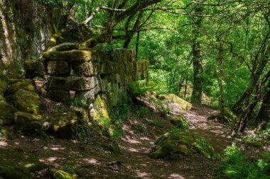 Viterbo, Lazio, İtalya 'daki Chia Şelale Parkı' nda antik uygarlıkların izlerini taşıyan güzel doğal manzara..