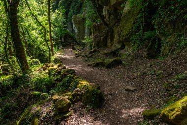 Viterbo, Lazio, İtalya 'daki Chia Şelale Parkı' nda antik uygarlıkların izlerini taşıyan güzel doğal manzara..