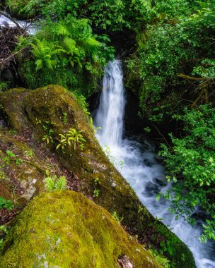 Viterbo, Lazio, İtalya 'daki Corchiano kasabası yakınlarındaki 
