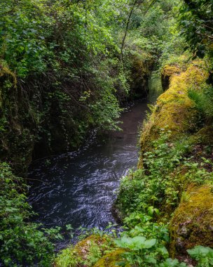 Viterbo, Lazio, İtalya 'daki Corchiano kasabası yakınlarındaki 