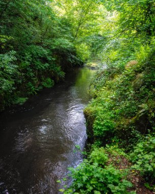 Viterbo, Lazio, İtalya 'daki Corchiano kasabası yakınlarındaki 