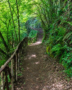 Viterbo, Lazio, İtalya 'daki Corchiano kasabası yakınlarındaki 