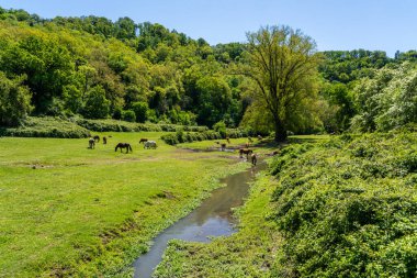 Formello yakınlarındaki Veio Bölge Parkı 'nda güzel bir manzara, Roma, Lazio, İtalya.