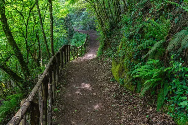 stock image Scenic sight in the natural monument 