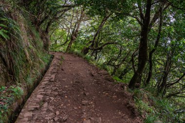 Güzel patika PR11 Levada dos Balcoes Madeira, Portekiz.