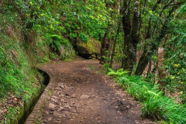 Güzel patika PR11 Levada dos Balcoes Madeira, Portekiz.