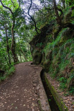 Güzel patika PR11 Levada dos Balcoes Madeira, Portekiz.