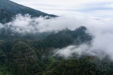 Güzel patika PR11 Levada dos Balcoes Madeira, Portekiz.