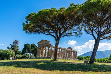 The majestic archeological site of Paestum, in the Province of Salerno, Campania, Italy. clipart