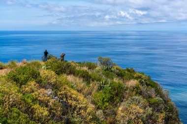 Scenic panoramic view from Miradouro de Sao Sebastiao on a summer morning, Madeira island, Portugal. clipart