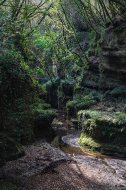 Natural canyons (forre), streams and waterfalls near the village of Gallese, in the Province of Viterbo, Lazio, Italy. clipart