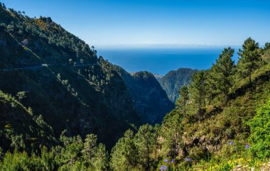 Miradouro Eira do Serrao 'dan bir yaz sabahı, Madeira Adası, Portekiz' e manzara.