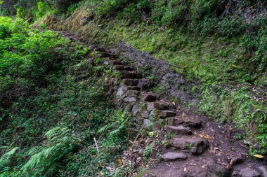 Vereda do Larano yürüyüşü, Madeira Adası, Portekiz boyunca manzaralı panoramik manzara.