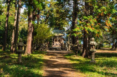 Güneşli bir sabahta Amanohashidate 'de manzara. Monju, Miyazu, Kyoto, Japonya.