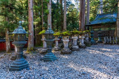 Nikko 'daki Tosho-gu Tapınağı' nda sonbahar sezonu manzarası. Tochigi Bölgesi, Japonya.
