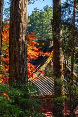 Nikko 'daki Tosho-gu Tapınağı' nda sonbahar sezonu manzarası. Tochigi Bölgesi, Japonya.