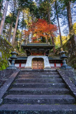 Nikko 'daki Taiyu-in Tapınağı. Tochigi Bölgesi, Japonya.