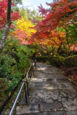 Scenic sight in Murakumo Zuiryu Temple in Omihachiman during fall season. Kansai region, Shiga Prefecture, Japan.