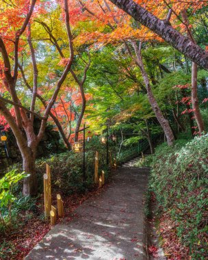 Scenic sight in Murakumo Zuiryu Temple in Omihachiman during fall season. Kansai region, Shiga Prefecture, Japan.