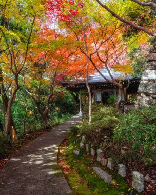Scenic sight in Murakumo Zuiryu Temple in Omihachiman during fall season. Kansai region, Shiga Prefecture, Japan.