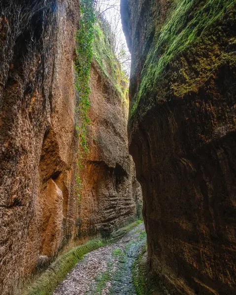 Viterbo, Lazio, İtalya 'daki Corchiano kasabası yakınlarındaki 