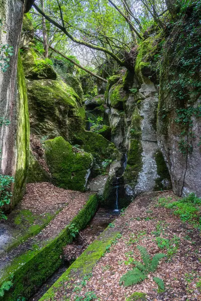 Arcionello Vadisi 'ndeki Viterbo' nun antik su kemeri. Lazio bölgesi, İtalya.