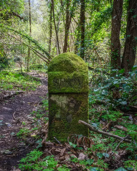 Arcionello Vadisi 'ndeki Viterbo' nun antik su kemeri. Lazio bölgesi, İtalya.