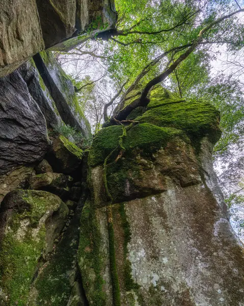 Arcionello Vadisi ve Fosso Luparo 'da Viterbo yakınlarında manzara. Lazio bölgesi, İtalya.