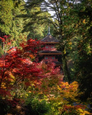Güz mevsiminde güzel Chomeiji Tapınağı, Biwa Gölü 'nde, Omihachiman kasabası yakınlarında. Shiga Bölgesi, Japonya.