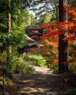 Güz mevsiminde güzel Chomeiji Tapınağı, Biwa Gölü 'nde, Omihachiman kasabası yakınlarında. Shiga Bölgesi, Japonya.