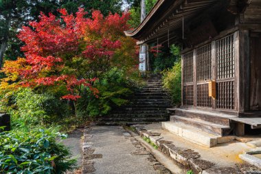 Güz mevsiminde güzel Chomeiji Tapınağı, Biwa Gölü 'nde, Omihachiman kasabası yakınlarında. Shiga Bölgesi, Japonya.