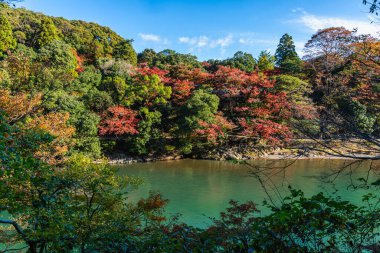 Sonbahar mevsiminde ünlü Arashiyama ormanındaki Katsura nehri boyunca güzel bir manzara. Kyoto, Japonya.