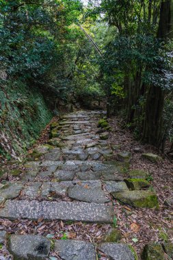 Güz mevsiminde güzel Chomeiji Tapınağı, Biwa Gölü 'nde, Omihachiman kasabası yakınlarında. Shiga Bölgesi, Japonya.
