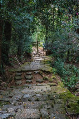 Güz mevsiminde güzel Chomeiji Tapınağı, Biwa Gölü 'nde, Omihachiman kasabası yakınlarında. Shiga Bölgesi, Japonya.