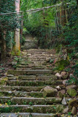 Güz mevsiminde güzel Chomeiji Tapınağı, Biwa Gölü 'nde, Omihachiman kasabası yakınlarında. Shiga Bölgesi, Japonya.