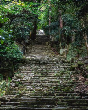 Güz mevsiminde güzel Chomeiji Tapınağı, Biwa Gölü 'nde, Omihachiman kasabası yakınlarında. Shiga Bölgesi, Japonya.
