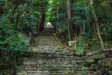 Güz mevsiminde güzel Chomeiji Tapınağı, Biwa Gölü 'nde, Omihachiman kasabası yakınlarında. Shiga Bölgesi, Japonya.