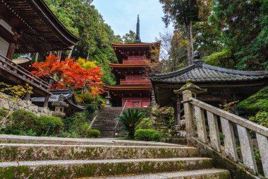 Güz mevsiminde güzel Chomeiji Tapınağı, Biwa Gölü 'nde, Omihachiman kasabası yakınlarında. Shiga Bölgesi, Japonya.